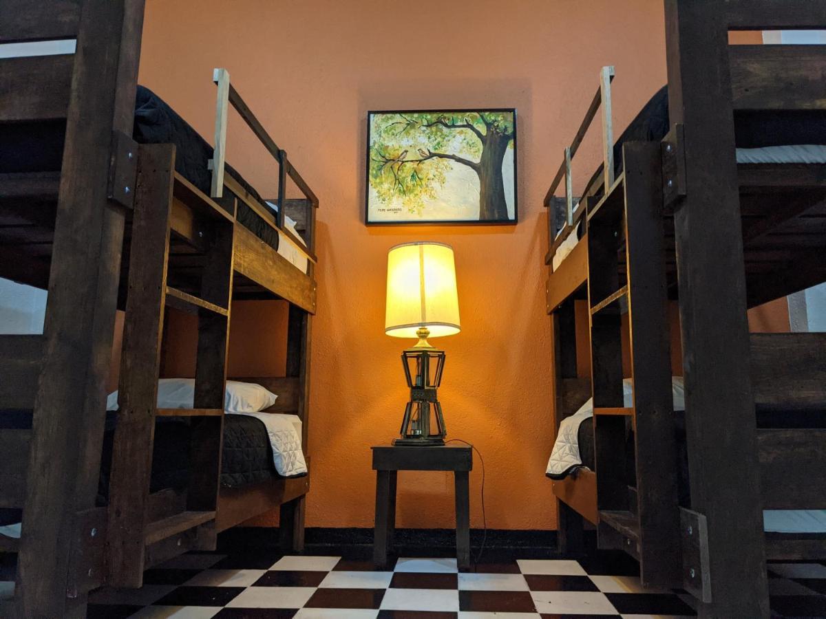My Family In Monterrey - Hostel المظهر الخارجي الصورة