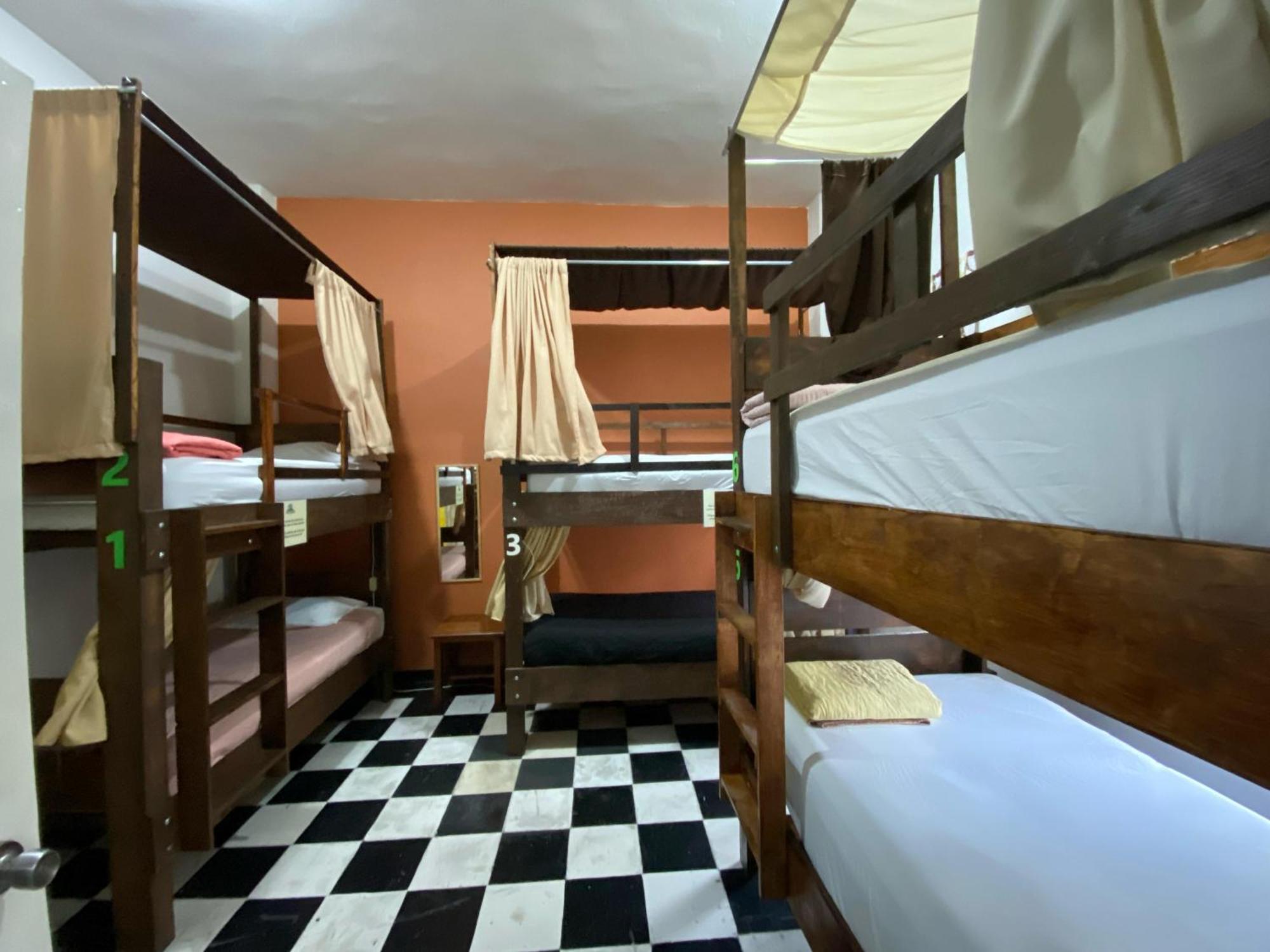 My Family In Monterrey - Hostel المظهر الخارجي الصورة